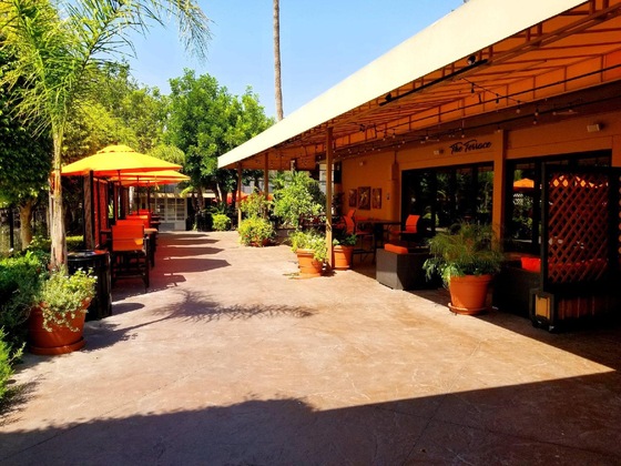 Gallery - Palm Garden Hotel