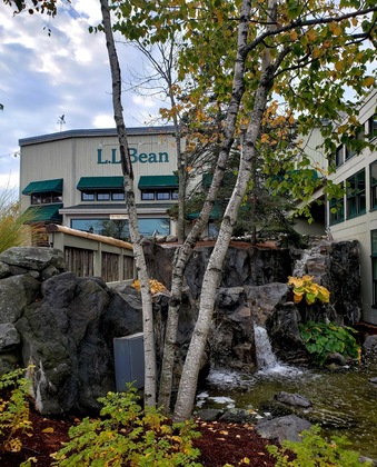 Gallery - Hilton Garden Inn Freeport Downtown