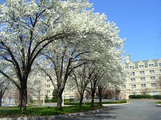 Gallery - Hilton Pearl River