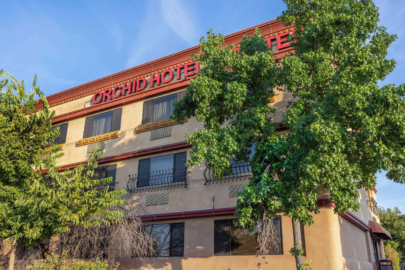 Gallery - Best Western Plus Orchid Hotel & Suites