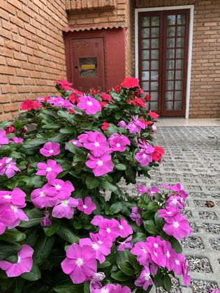 Gallery - Hotel Sao Sebastiao Da Praia