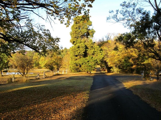Gallery - Moore Park Inn