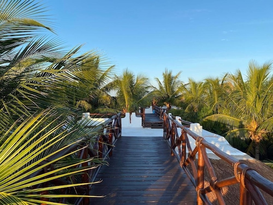 Gallery - Las Nubes De Holbox