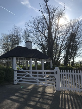 Gallery - The White Swan