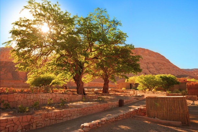 Gallery - Nayara Alto Atacama
