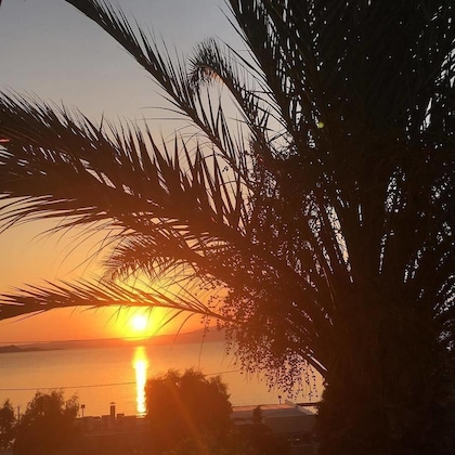 Gallery - Marathon Beach Resort