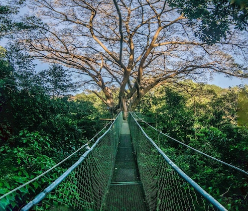 Gallery - Buena Vista Del Rincon Eco Adventure Park, Hotel & Spa