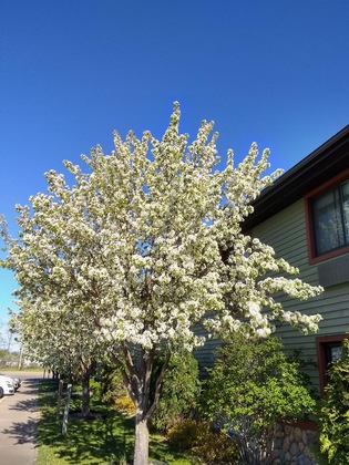 Gallery - Super 8 By Wyndham Baxter Brainerd Area