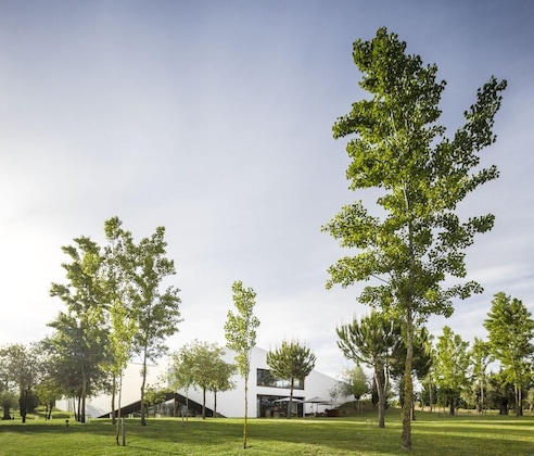 Gallery - L'And Vineyards