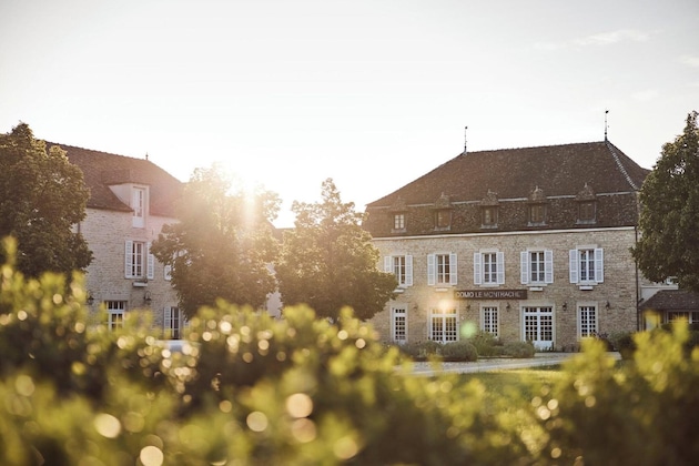 Gallery - Le Montrachet