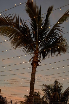 Gallery - Radisson Blu Resort Fiji Denarau Island