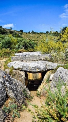 Gallery - Casa Rural Los Algarrobales