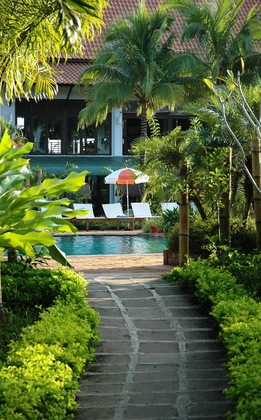 Gallery - Golden Pine Resort