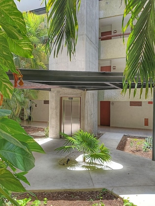 Gallery - Casa Del Mar Cozumel Hotel & Dive Resort With Beach Club Access Included