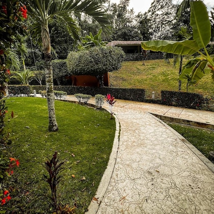 Gallery - Hotel Villa Mercedes Palenque