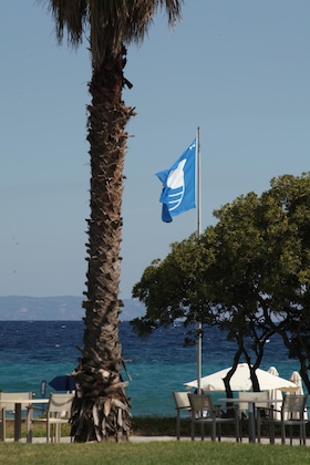 Gallery - Kassandra Palace Seaside Resort