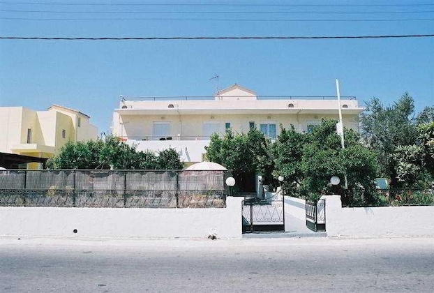 Gallery - Lemon Trees