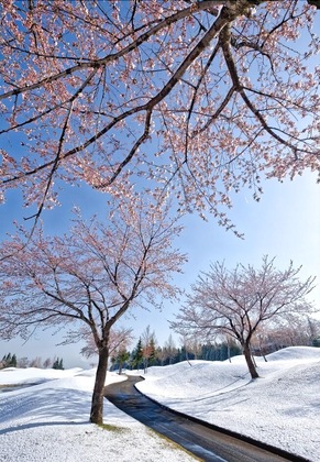 Gallery - Atema Kogen Resort Belnatio