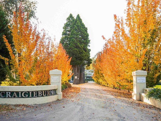Gallery - Peppers Craigieburn