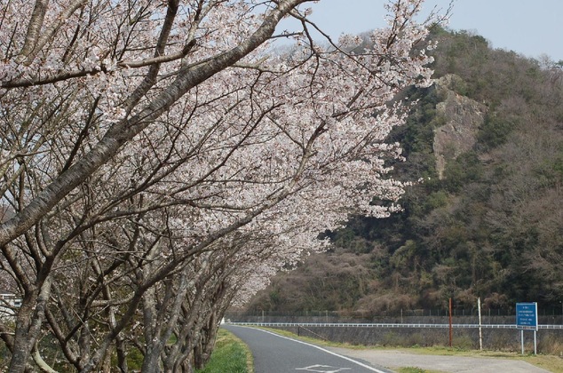 Gallery - Hananoyado Nishikien