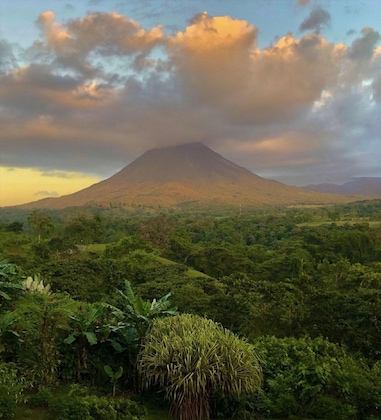 Gallery - Lost Iguana Resort And Spa