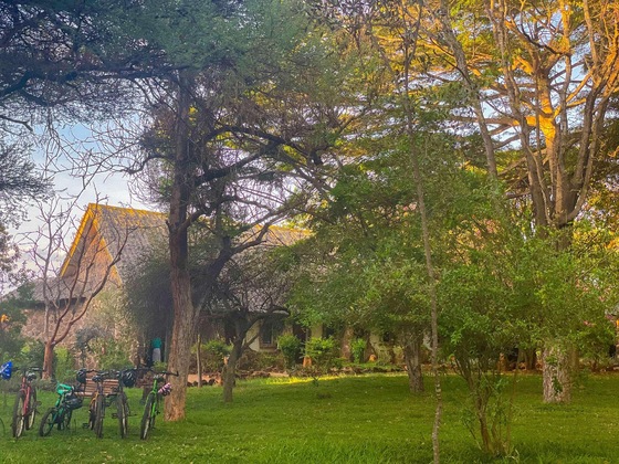 Gallery - Kilaguni Serena Safari Lodge