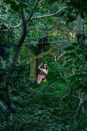 Gallery - Casa Bonita Tropical Lodge