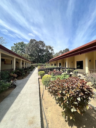 Gallery - La Foresta Nature Resort
