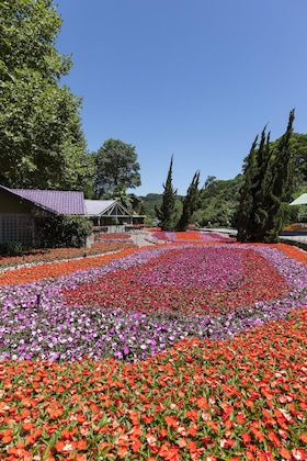 Gallery - Hotel Unique Garden