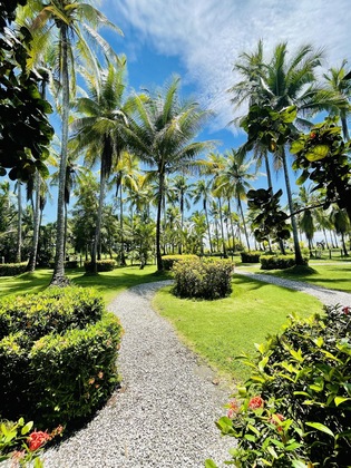 Gallery - Hotel Cocomar Beachfront Hotel