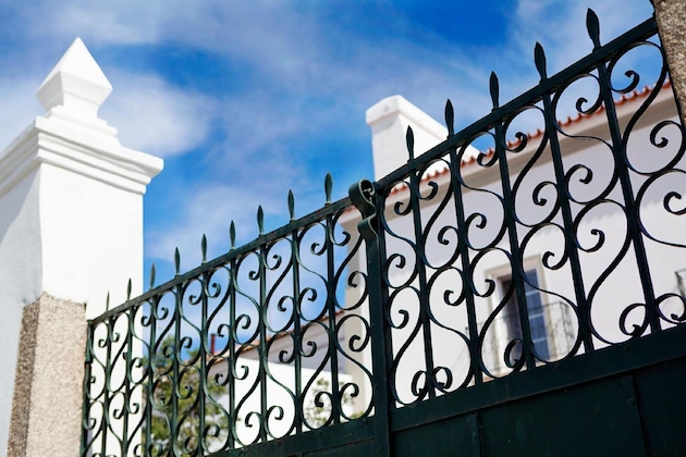 Gallery - Casa Do Platano