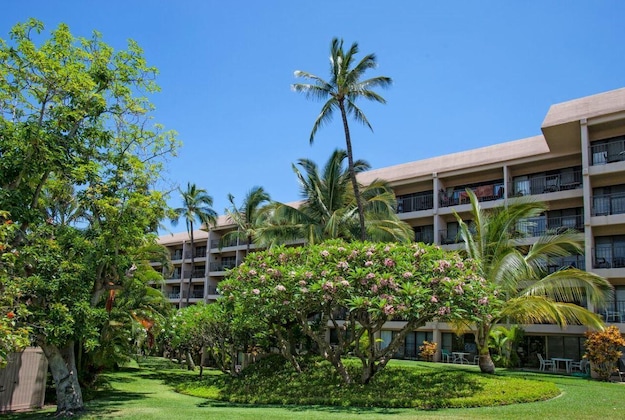Gallery - Kihei Akahi