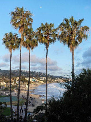Gallery - Inn At Laguna Beach