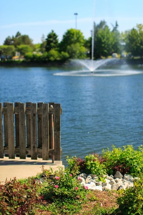 Gallery - Lincolnshire Marriott Resort