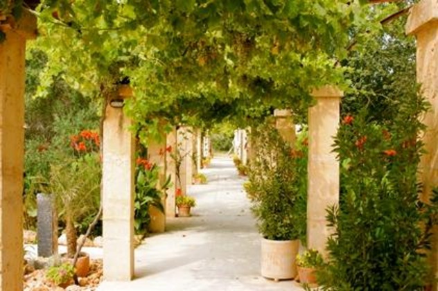 Gallery - Agroturismo Son Sampoli
