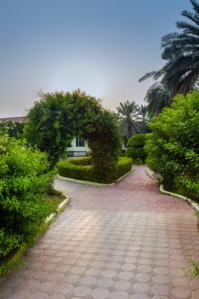 Gallery - Flamingo Beach Hotel