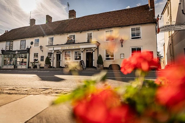 Gallery - Dog & Bear Hotel