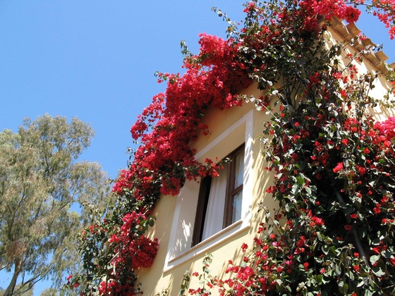 Gallery - Borgo Degli Ulivi Residence