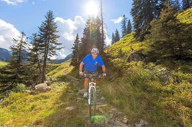 Gallery - T3 Gasthof Spullersee