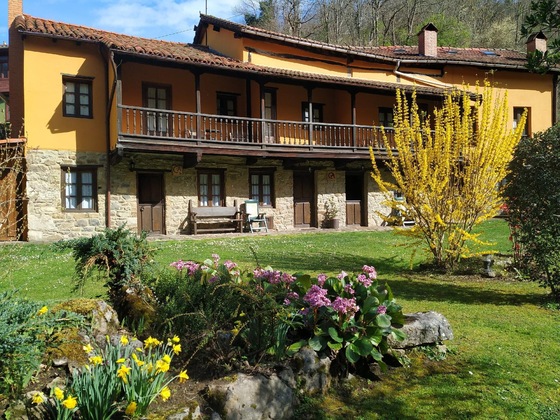Gallery - Corrada Torales