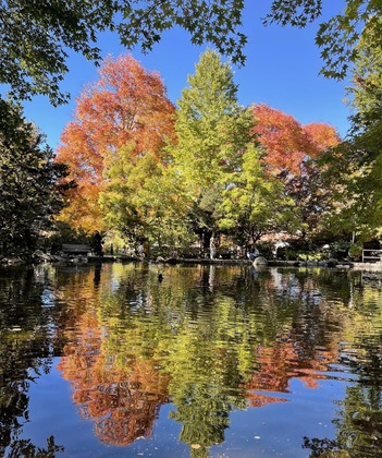 Gallery - Cedarwood Inn Of Ashland