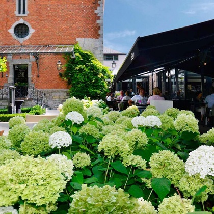 Gallery - Le Manoir
