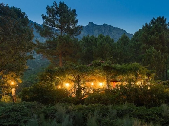 Gallery - Lo Alto