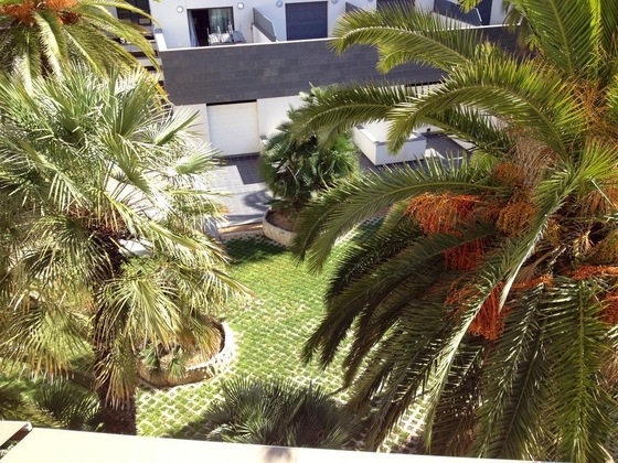 Gallery - Hotel Madison Bahia
