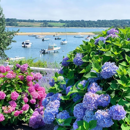 Gallery - Wequassett Resort And Golf Club