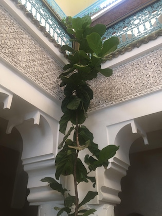 Gallery - Riad Ben Tachfine