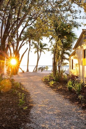 Gallery - Pines & Palms Resort
