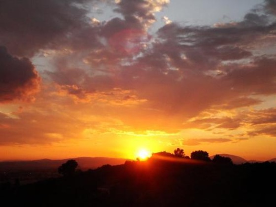 Gallery - Viole Country Hotel