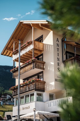 Gallery - Hotel Antines