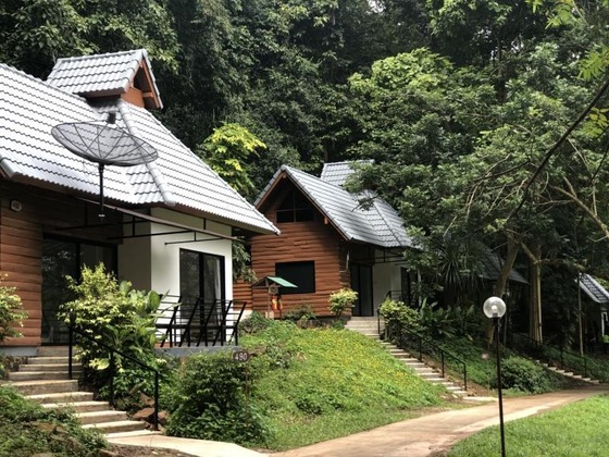 Gallery - Sappraiwan Elephant Resort & Sanctuary